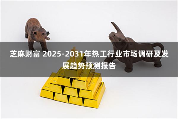 芝麻财富 2025-2031年热工行业市场调研及发展趋势预测报告