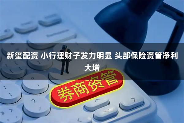 新玺配资 小行理财子发力明显 头部保险资管净利大增