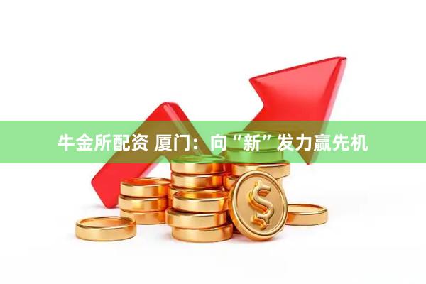 牛金所配资 厦门：向“新”发力赢先机