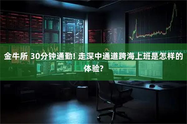 金牛所 30分钟通勤! 走深中通道跨海上班是怎样的体验?