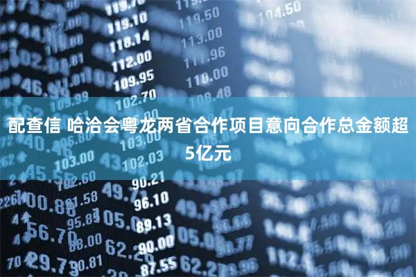 配查信 哈洽会粤龙两省合作项目意向合作总金额超5亿元