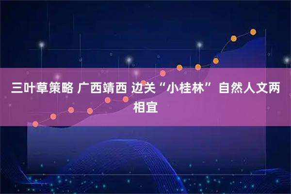 三叶草策略 广西靖西 边关“小桂林” 自然人文两相宜