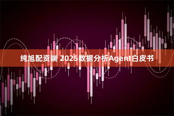 纯旭配资端 2025数据分析Agent白皮书