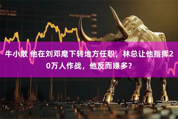 牛小散 他在刘邓麾下转地方任职，林总让他指挥20万人作战，他反而嫌多？