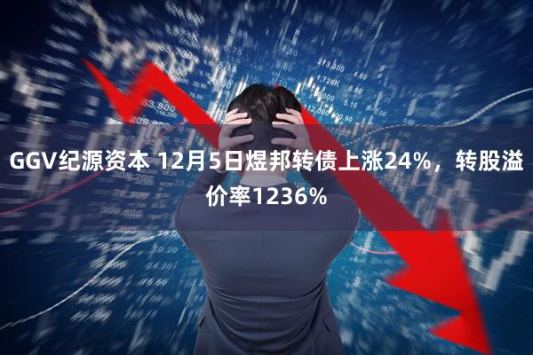 GGV纪源资本 12月5日煜邦转债上涨24%,转股溢价率1236%