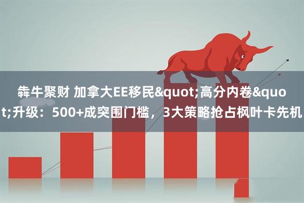 犇牛聚财 加拿大EE移民"高分内卷"升级：500+成突围门槛，3大策略抢占枫叶卡先机
