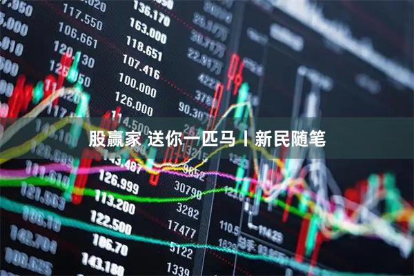 股赢家 送你一匹马丨新民随笔
