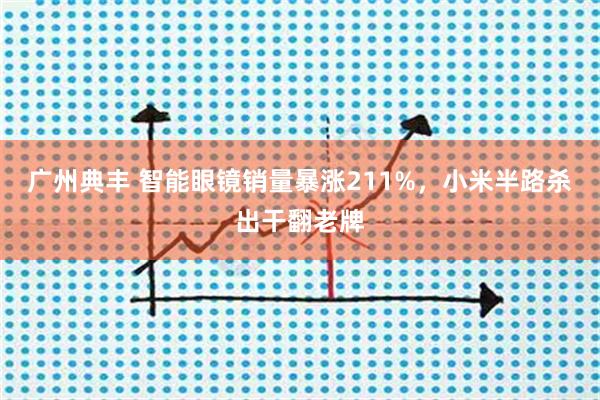 广州典丰 智能眼镜销量暴涨211%，小米半路杀出干翻老牌